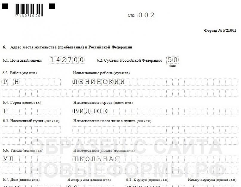 Форма Р21001 (новая): образец заполнения заявления о государственной регистрации ИП. Заявление о постановке на учет по енвд для ип Помощь в регистрации ИП