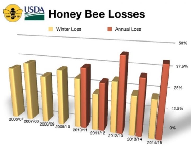 Какими последствиями грозит вымирание пчел человечеству? Почему наблюдается массовая гибель пчёл? Мои выводы о причинах массовой гибели пчел. 